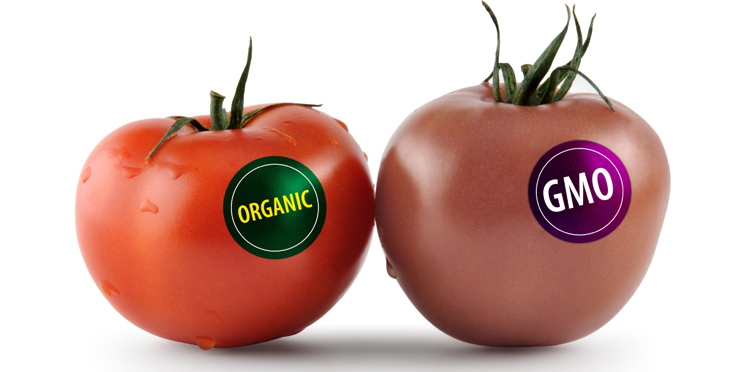 ГМО продукты
