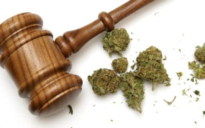 Gov’t Actively Looking Into Reforming Ganja Law